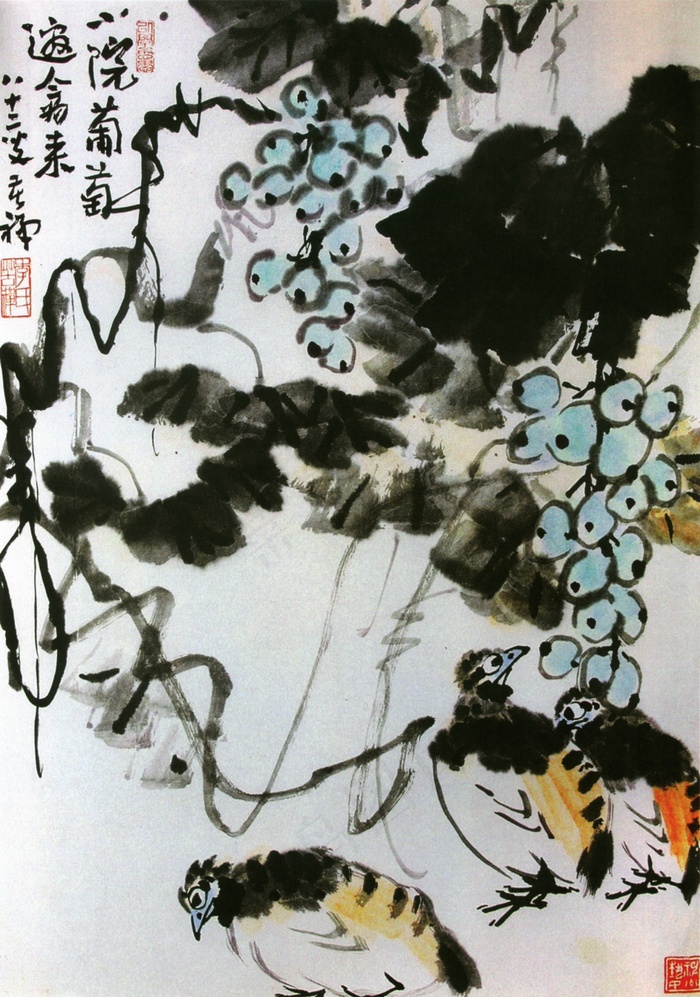 小院葡萄邀禽来