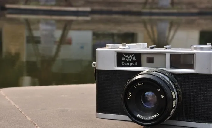 海鸥相机图片