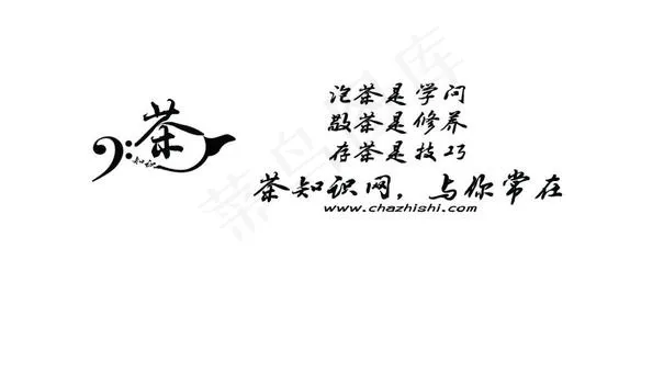 茶知识网站LOGO设计