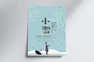简约时尚二十四节气小雪海报