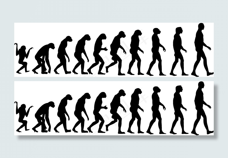 人类进化的矢量素材