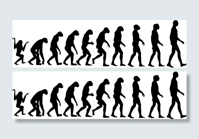 人类进化的矢量素材