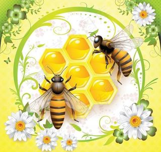 蜜蜂采蜜矢量图图片
