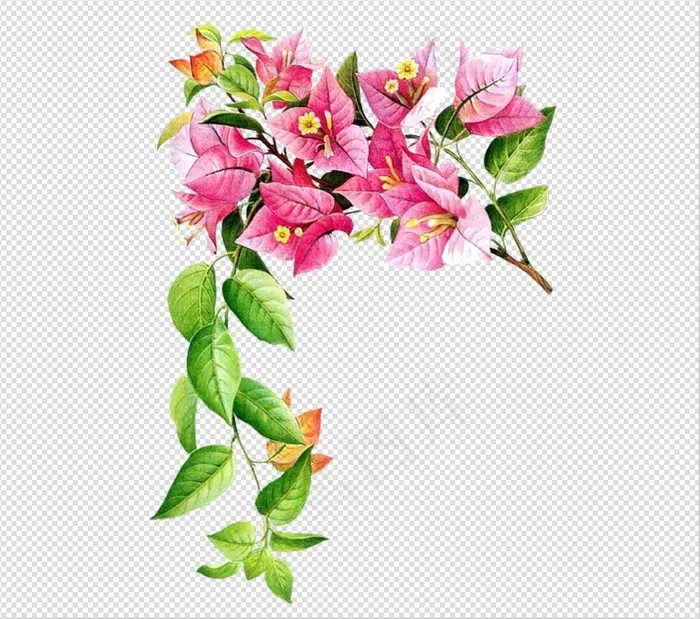 唯美免扣手绘花朵叶子树叶背景墙素材...