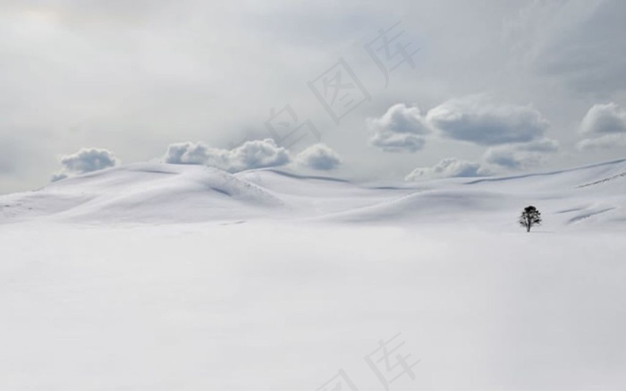 唯美的雪景图片