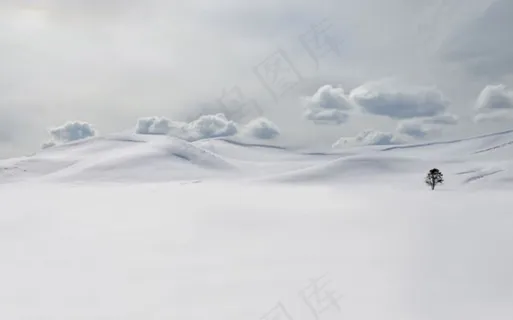 唯美的雪景图片 唯美的雪景图片
