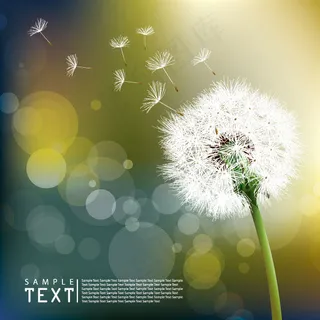蒲公英矢量素材 蒲公英矢量素材