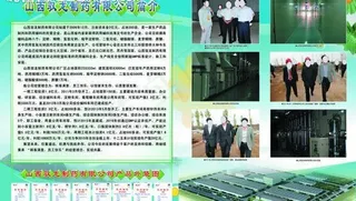 公司简介宣传页图片