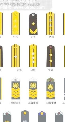 中国人民解放军海军军衔图