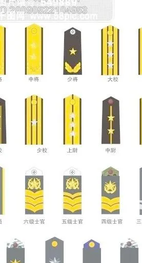 中国人民解放军海军军衔图cdr矢量模版下载