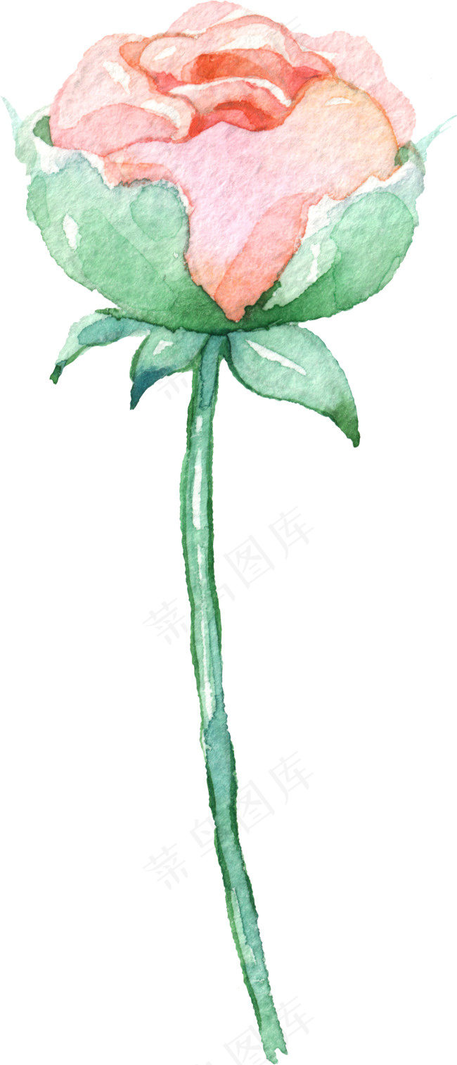淡彩手绘植物1215-带通道psd模版下载