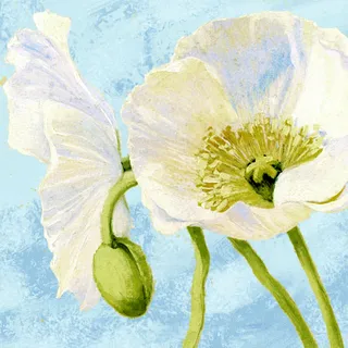 百花图片 百花图片