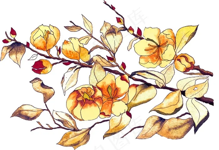 简约清爽花卉树枝