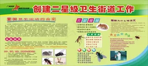 创建二星级卫生街道工作