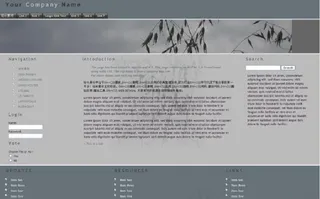 企业公司css模板