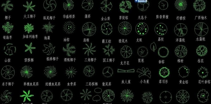 园林树木图库
