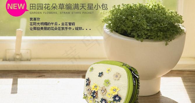 淘宝女包广告画图片psd模版下载