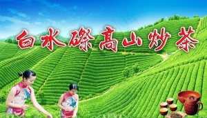 茶山茶园图片