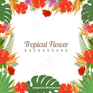 绿色背景矢量图