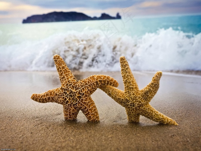 海滩美景图片