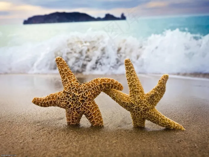 海滩美景图片