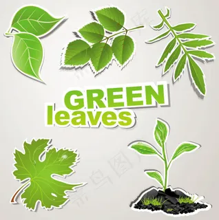 精美树叶标签02——矢量素材