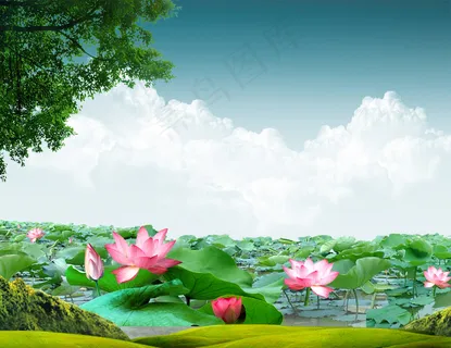 荷塘春色盛开荷花PSD分层图