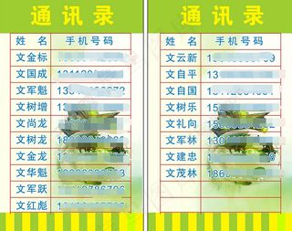 通讯录绿色背景