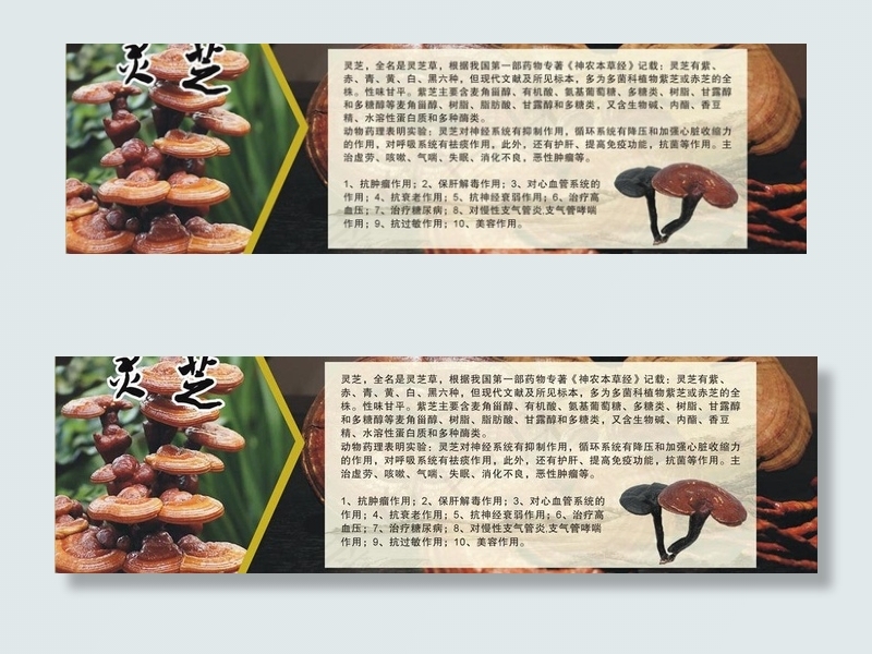 灵芝展板图片cdr矢量模版下载