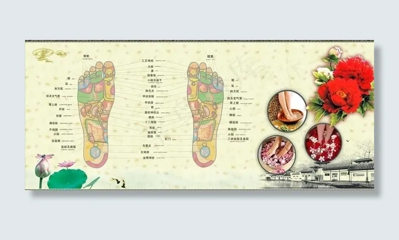 足浴穴位图图片cdr矢量模版下载
