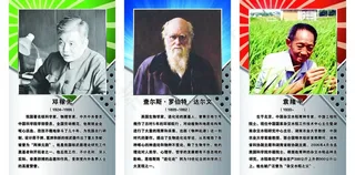 科学人物展板图片