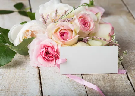 粉色玫瑰花静物设计素材