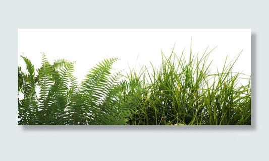 草分层后期素材