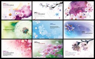 精美花卉名片卡片设计PSD分层素材