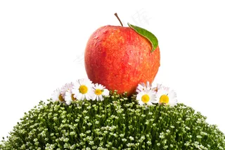 草地上的苹果图片