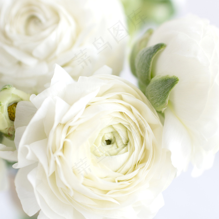 简约小清新文艺风插花静物摆拍背景