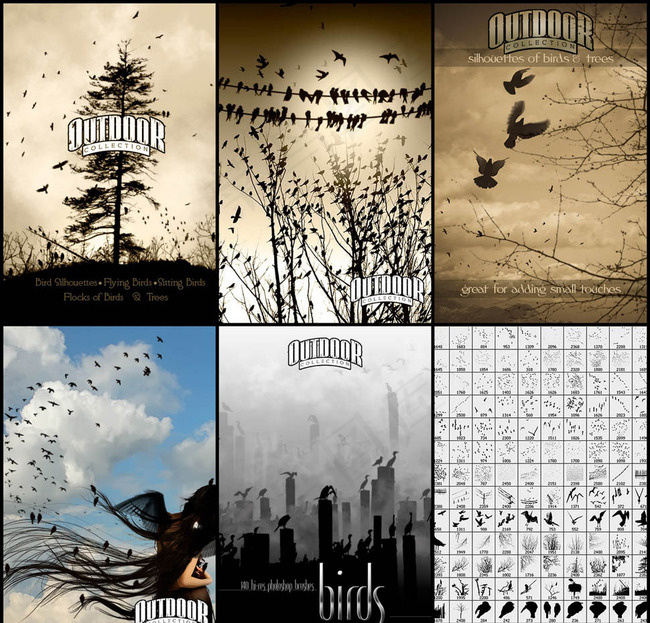 成群结队的飞鸟和鸟群笔刷