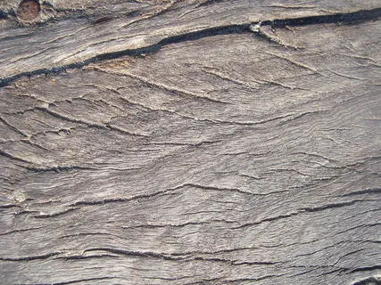 empty_wooden_text... empty_wooden_text...