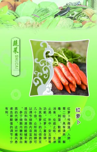 蔬菜红萝卜广告模板展板图片