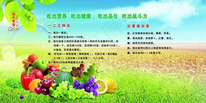 饮食文化吃出健康军营文化ai矢量模版下载