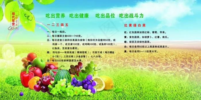 饮食文化吃出健康军营文化ai矢量模版下载