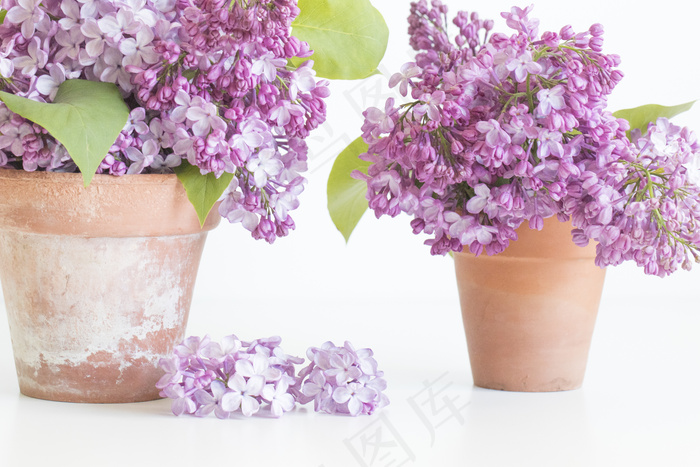 简约小清新文艺风插花静物摆拍背景