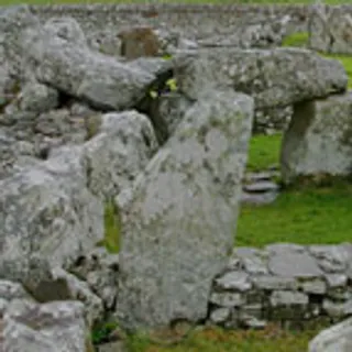 自然本性森林BLOG网页模板