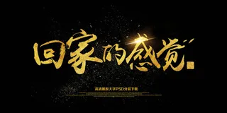 大气黑金回家的感觉海报