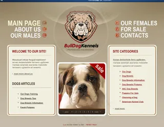 小狗界面设计flash网页模板