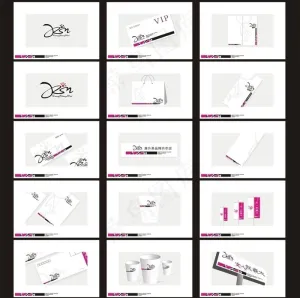 康升美vi设计图片