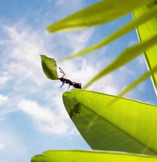 高清未来科幻图图片