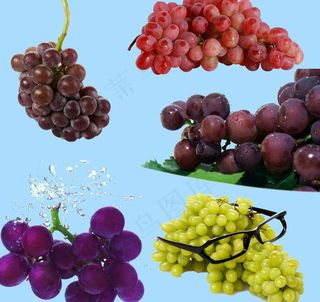 葡萄图片