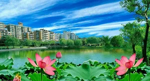 荷花湖畔房地产素材图片