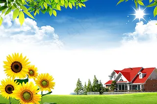 蓝天草地 向日葵图片